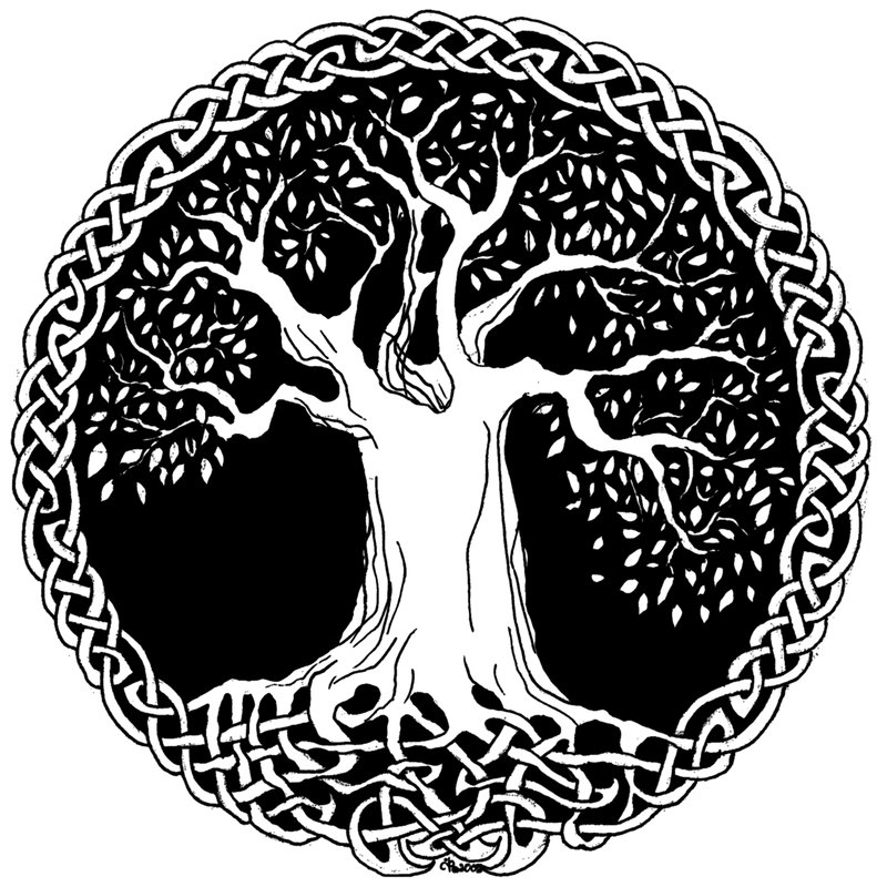 800x800 celtic tree of life celtic tree of life drawing good roots - Celtic Tree Of Life Drawing