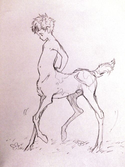 500x667 centaur drawing, pencil, sketch, colorful, realistic art images - Centaur Drawing