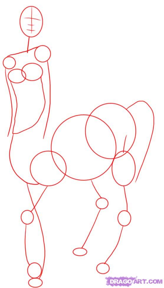 556x977 how to draw a female centaur, step - Centaur Drawing