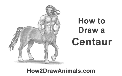 500x315 how to draw a centaur video step - Centaur Drawing