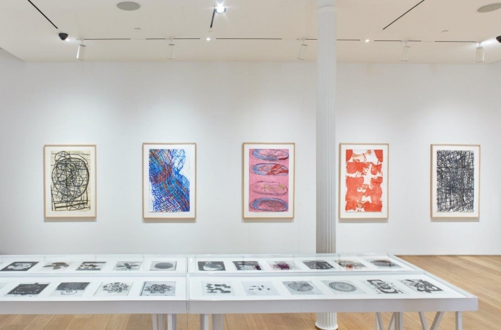 720x474 Terry Winters Draws The Shape Of Space - Center Drawing