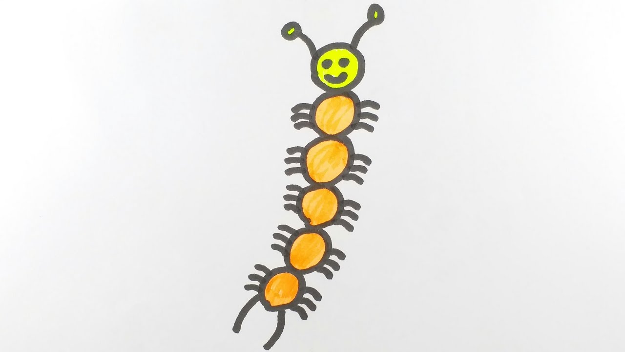 1280x720 How To Draw And Colour A Centipedethe Poisonous Animal Easy - Centipede Drawing