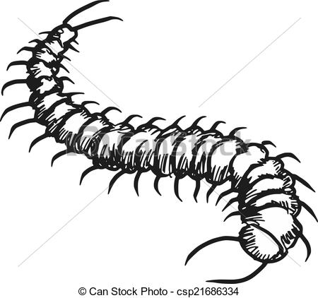 450x422 Sketch, Doodle Illustration Of Centipede - Centipede Drawing
