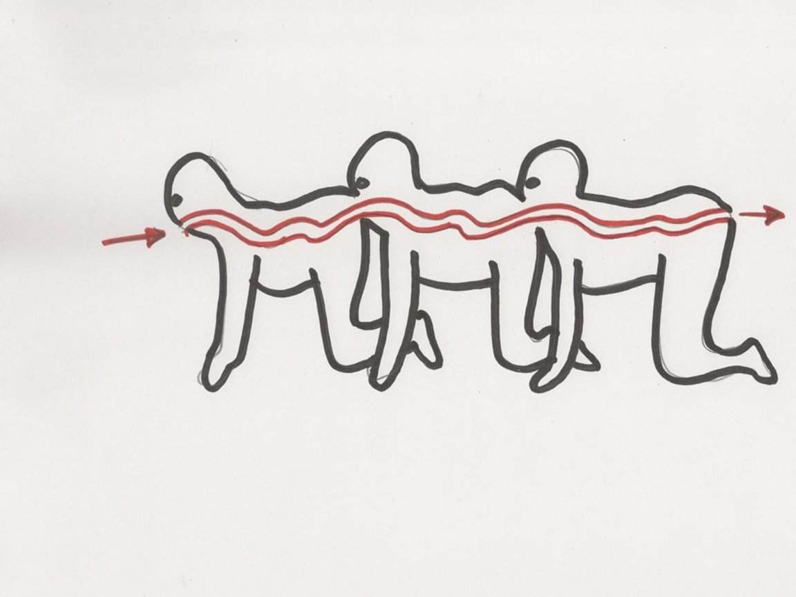 1152x864 The Human Centipede - Centipede Drawing