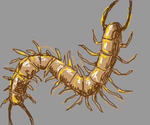 300x250 Weird Centipede Drawing - Centipede Drawing
