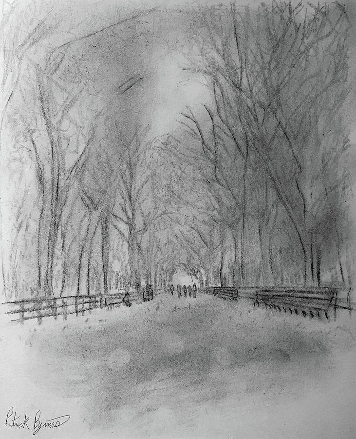 731x900 Central Park In Late Fall Drawing - Central Park Drawing