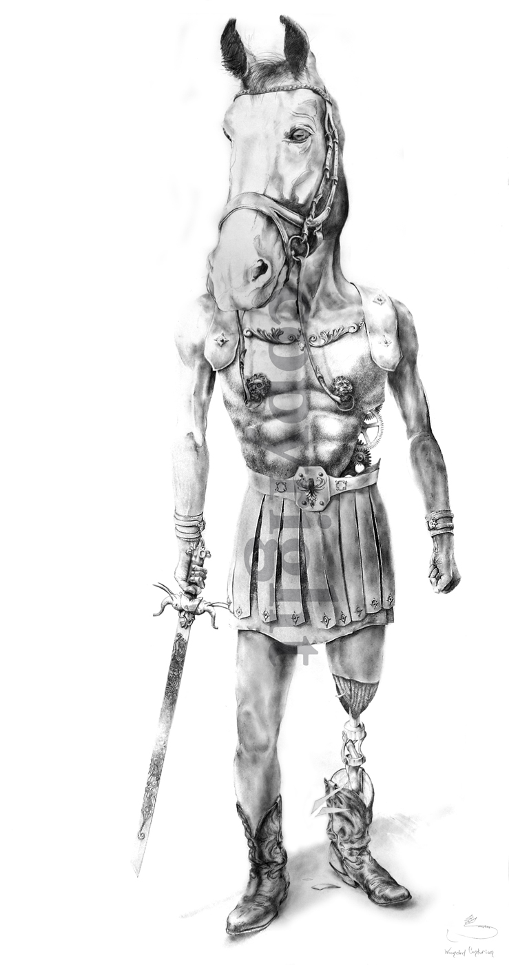 739x1400 Drawings - Centurion Drawing