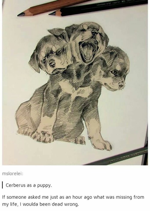 500x703 I Love It When I Randomly Find Cute Stuff Like This D - Cerberus Drawing