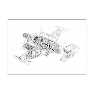 300x300  - Cessna Drawing