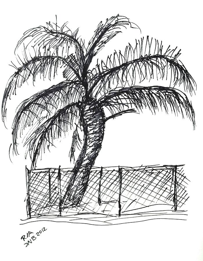 700x900 Palm Tree With Chain Link Fence Drawing - Chain Link Drawing