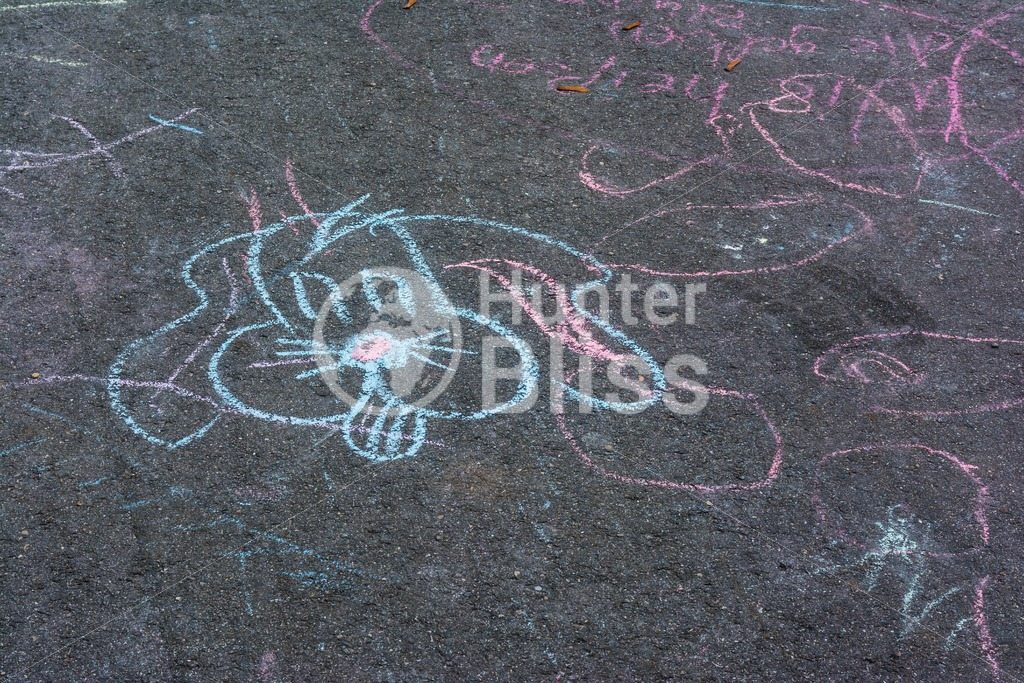 1024x683 children chalk drawings asphalt concrete outdoors public urban - Chalk Drawings