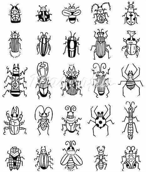 466x550 Insects Line Drawing - Chalk Line Drawing