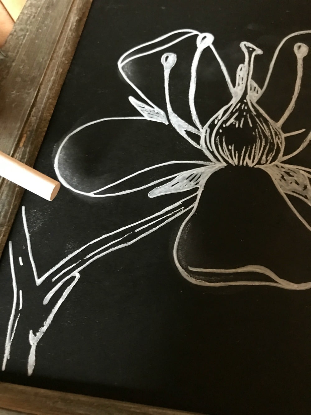 1000x1333 the easy trick to diy chalkboard art and lettering good and simple - Chalkboard Drawings