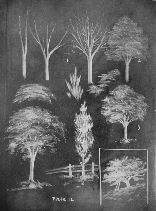 518x700 blackboard sketching - Chalkboard Drawings