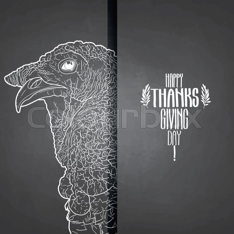 800x800 Graphic Design With Turkey Head Drawn Stock Vector Colourbox - Chalkboard Turkey Drawing