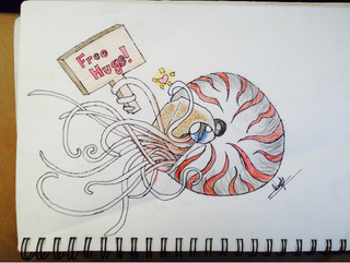 320x241 My Chambered Nautilus Is Coloured And Ready For Hugs ^ ^ Not Too - Chambered Nautilus Drawing