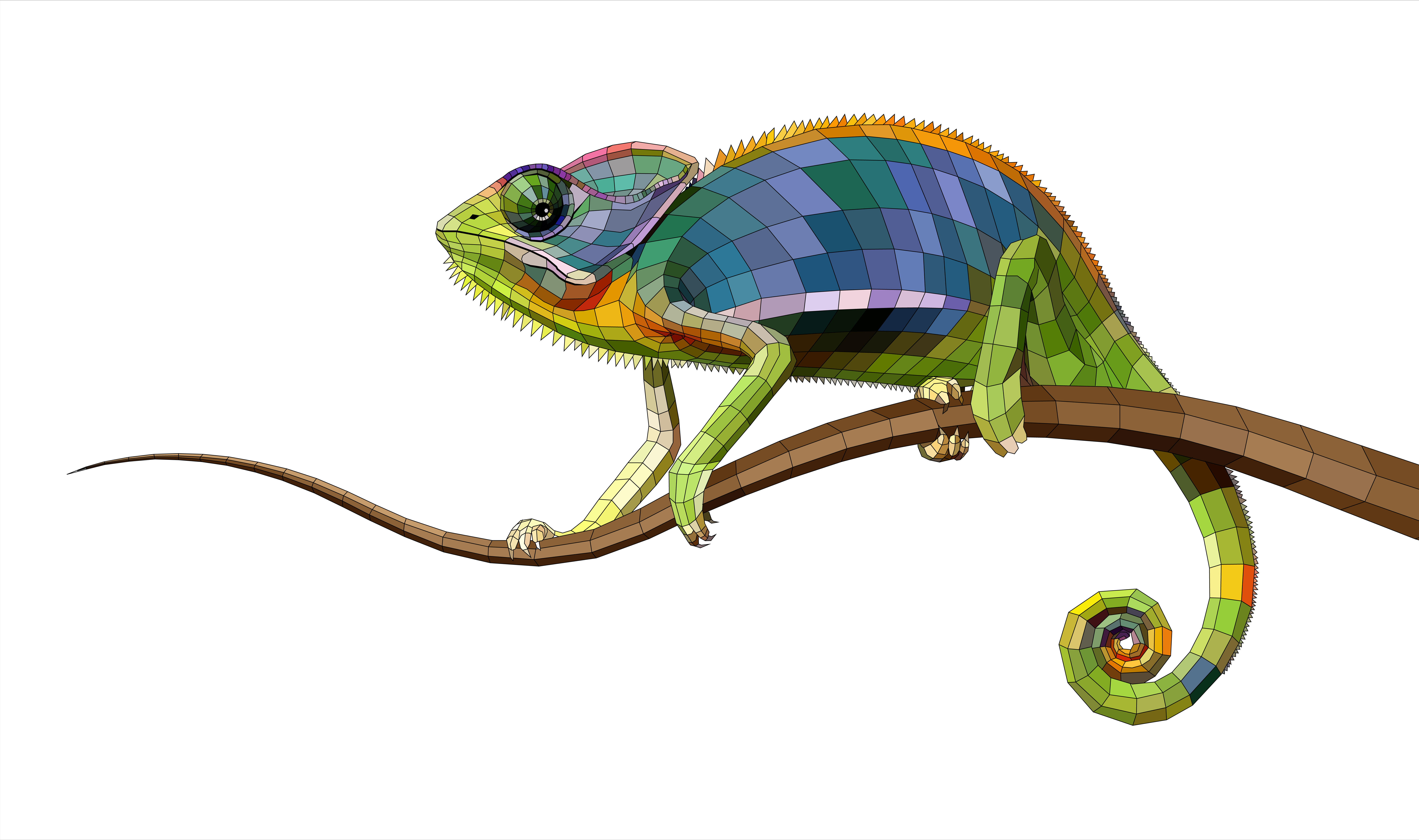7600x4501 digital drawing chameleon t j coster fine arts - Chameleon Drawin...