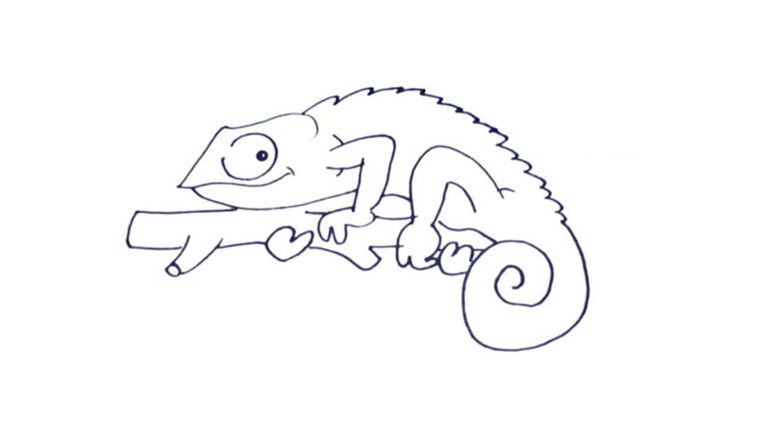 854x480 How To Draw A Chameleon - Chameleon Drawing