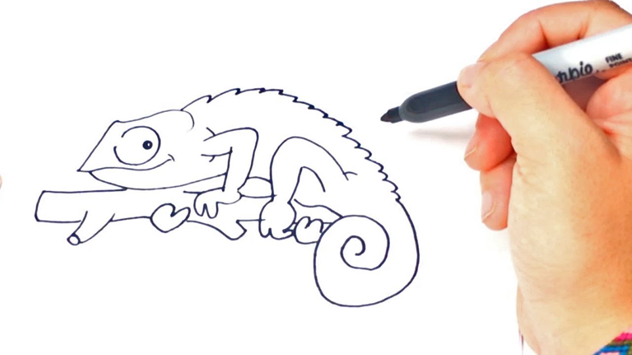 1280x720 How To Draw A Chameleon Step - Chameleon Drawing