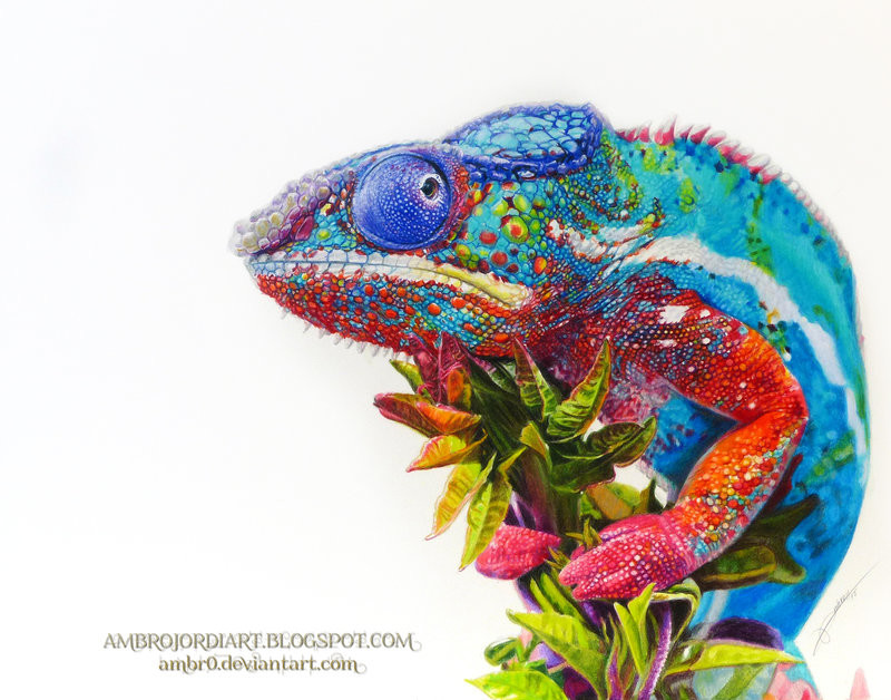 Chameleon Drawing At PaintingValley.com | Explore Collection Of ...