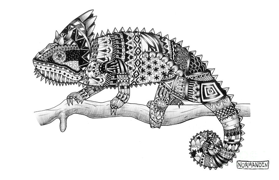 900x582 Zen Chameleon Drawing - Chameleon Drawing