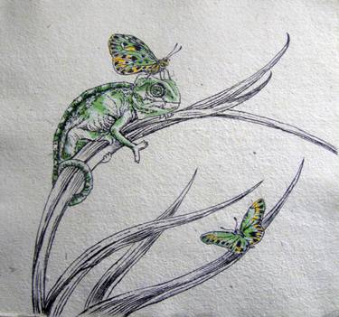 375x351 Chameleon And Butterflies Drawing - Chameleon Drawing