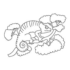 230x230 Chameleon Coloring Pages - Chameleon Drawing Template