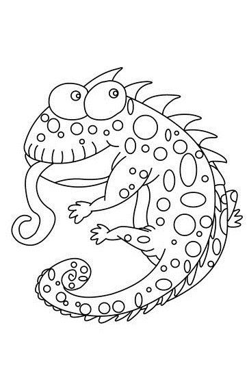 364x542 Chameleon Coloring Pages - Chameleon Drawing Template