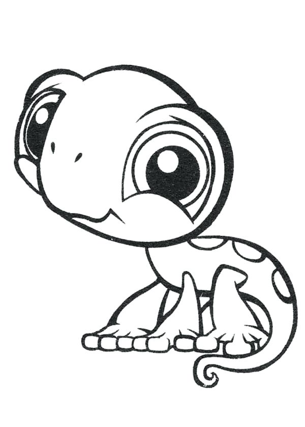 600x840 Chameleon Template Printable Chameleon Coloring - Chameleon Drawing Template