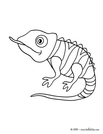 363x470 Chameleon Printable Coloring Pages - Chameleon Drawing Template