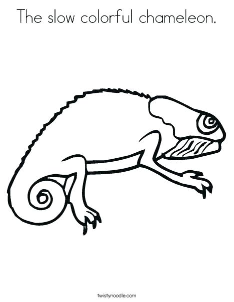 468x605 Chameleon Coloring Template - Chameleon Drawing Template