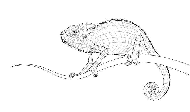 736x436 Chameleon Drawing Free Download - Chameleon Line Drawing