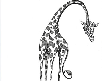 340x270 Chameleon Line Drawing Print Etsy - Chameleon Line Drawing