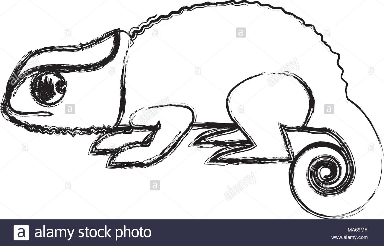 1300x832 Drawn Chameleon Painting - Chameleon Line Drawing