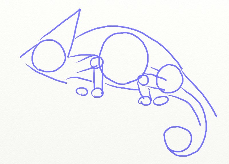 800x576 How To Draw A Chameleon - Chameleon Line Drawing