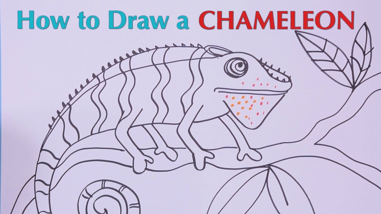 Chameleon Line Drawing At PaintingValley.com | Explore Collection Of ...