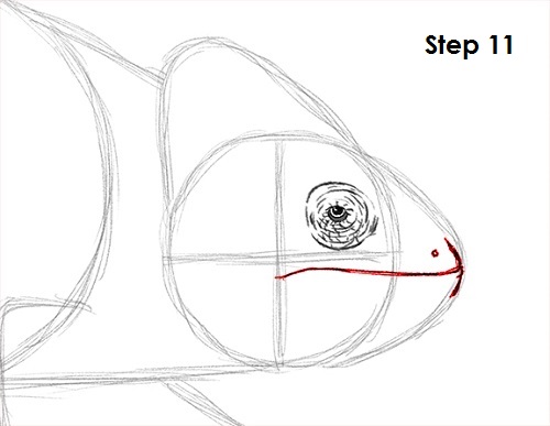 500x387 How To Draw A Chameleon - Chameleon Line Drawing