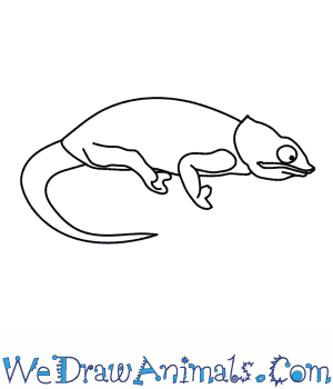 300x350 How To Draw A Chameleon - Chameleon Line Drawing
