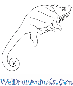 300x350 How To Draw A Will's Chameleon - Chameleon Line Drawing