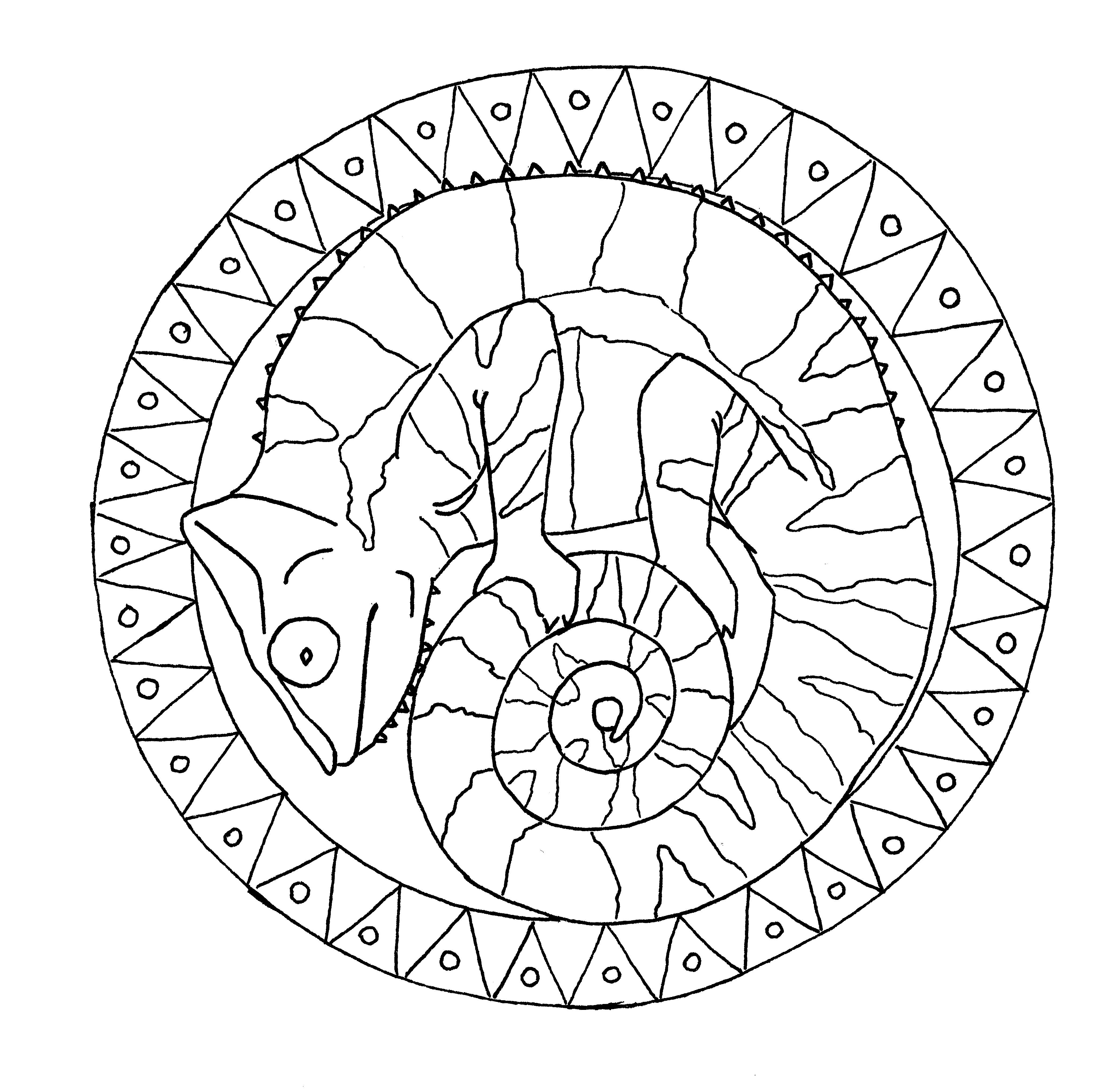 4172x4069 Of Chameleons And Drawing Corvus Tristis Science, Craft - Chameleon Line Drawing