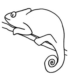 236x256 Vector - Chameleon Line Drawing