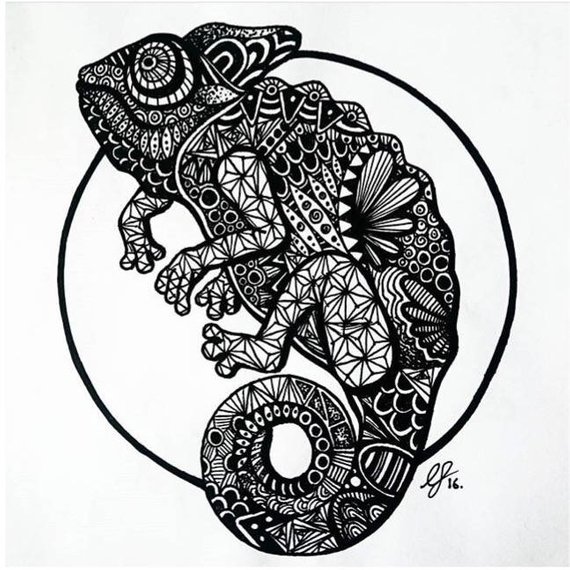 Chameleon Line Drawing at PaintingValley.com | Explore collection of ...