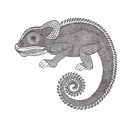 530x522 Chameleon, Part One Creativeliz - Chameleon Outline Drawing