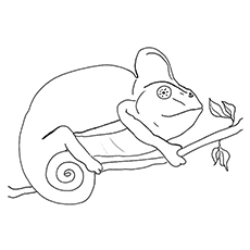 230x230 Chameleon Coloring Pages - Chameleon Outline Drawing