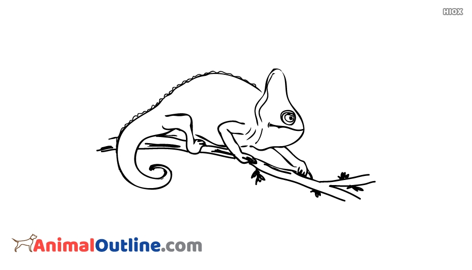 934x534 Chameleon Outline - Chameleon Outline Drawing