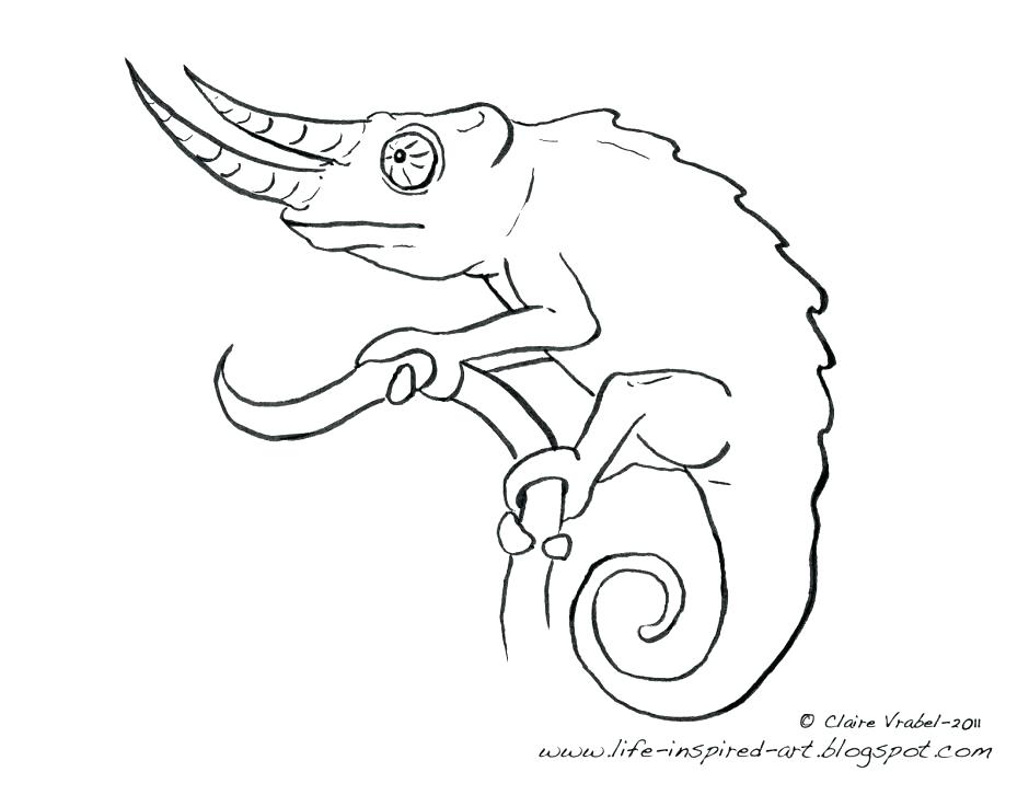 Chameleon Outline Drawing At PaintingValley.com | Explore Collection Of ...