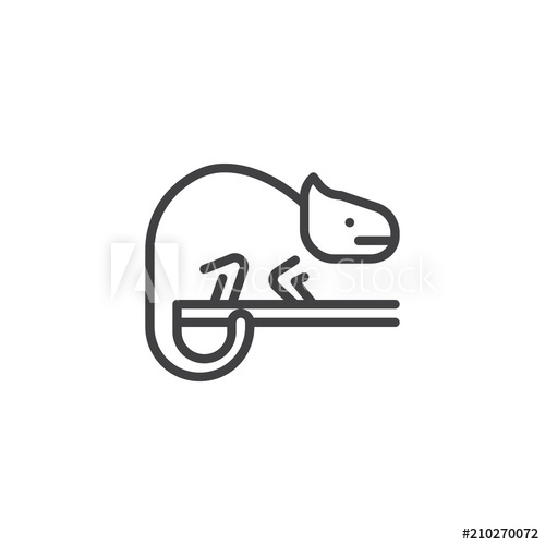 500x500 Chameleon Outline Icon Linear Style Sign For Mobile Concept - Chameleon Outline Drawing