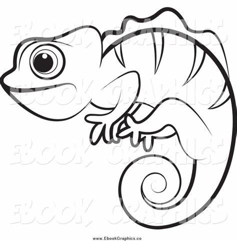 474x483 Eating Chameleon Outline Drawing Gtgt - Chameleon Outline Drawing