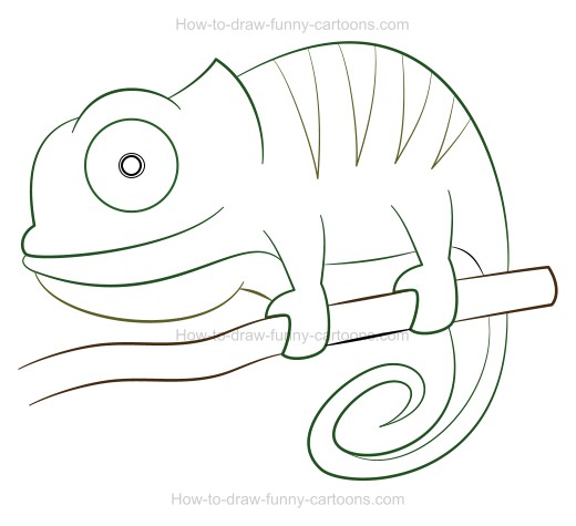 Chameleon Outline Drawing at PaintingValley.com | Explore collection of ...