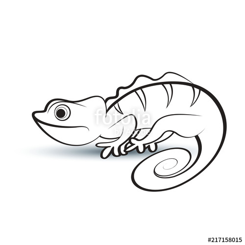 Chameleon Outline Drawing at PaintingValley.com | Explore collection of ...